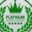 PT Platinum Network Indonesia Logo